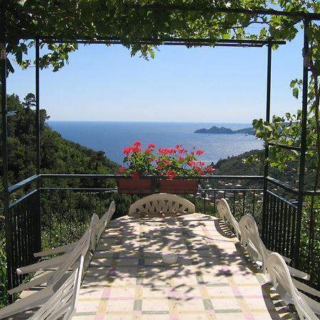 Affittacamere Cerisola 2003 Zoagli Εξωτερικό φωτογραφία