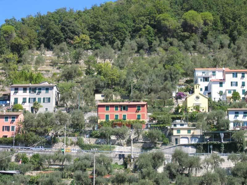 Affittacamere Cerisola 2003 Zoagli Εξωτερικό φωτογραφία
